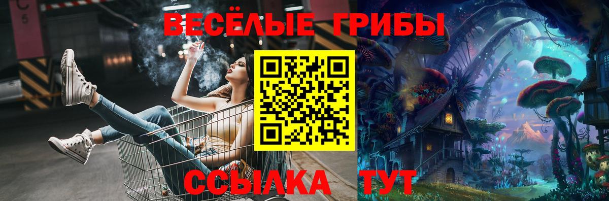 Псилоцибиновые грибы Magic Shrooms Рубцовск